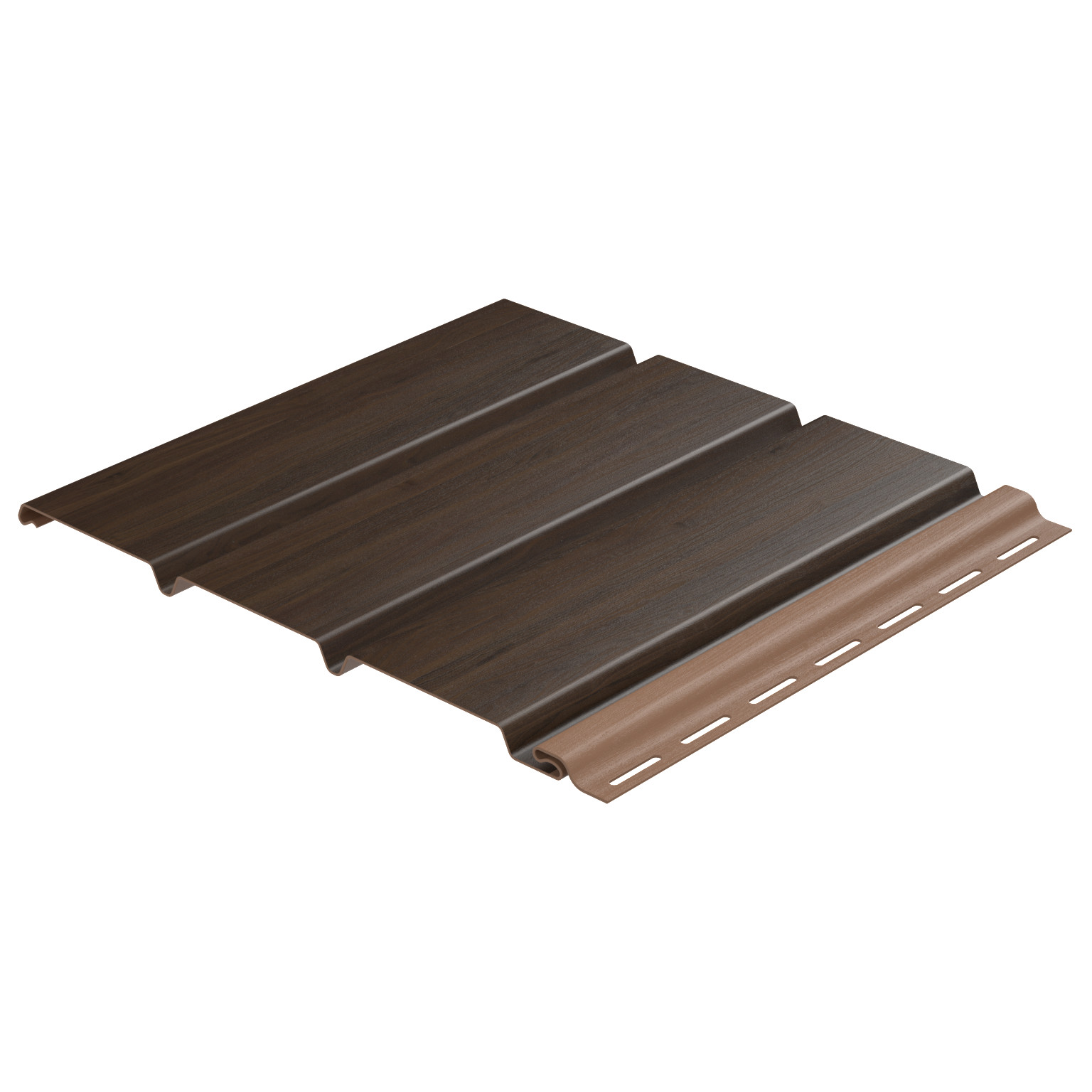 Lambéria dióbarna.jpg